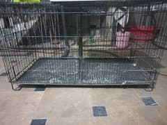 IRON CAGE FOR Sale