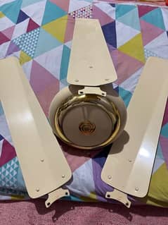 Ceiling Fan available for sale