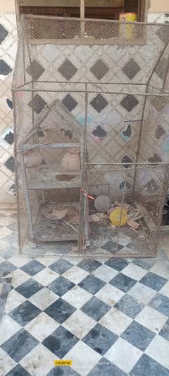 Cage for parrot hen pigeons