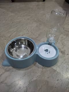 Cat Food and Water Bowl 0