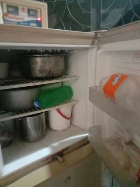 pel refrigerator 1