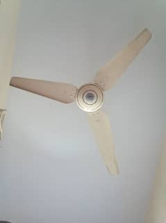 used fans sale 0