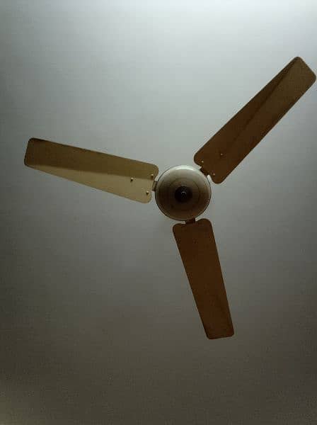 used fans sale 1