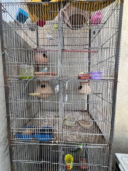 Cage and Birds setup for sale hai 5