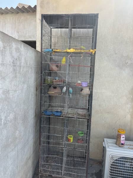 Cage and Birds setup for sale hai 7