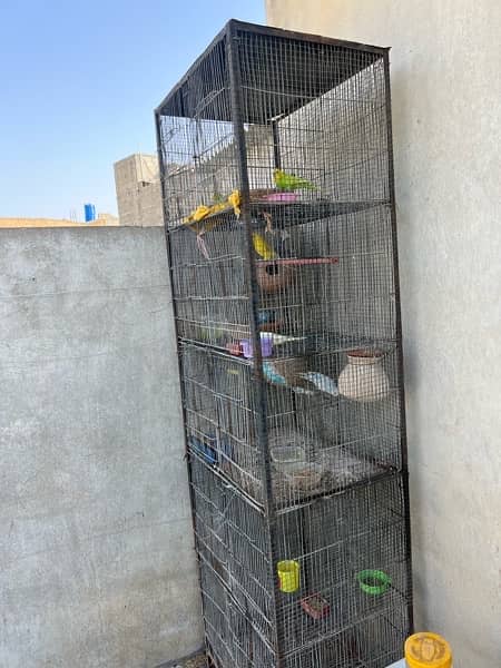 Cage and Birds setup for sale hai 8
