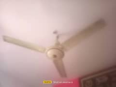 used fans for sale