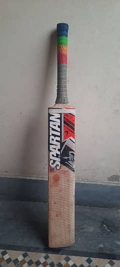 Cricket Hard Balll bat with Pads