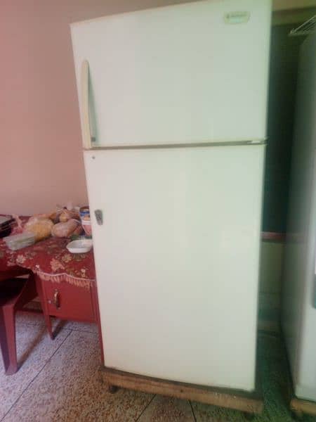 kelvinator refrigerator full size used 5