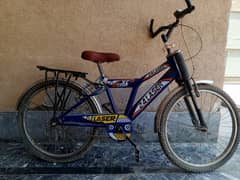 Bicycle 24' 0