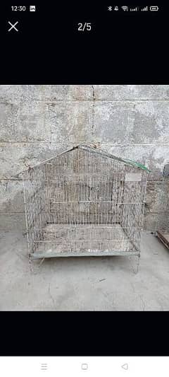 1000 per pis cage big size cocktail fisher