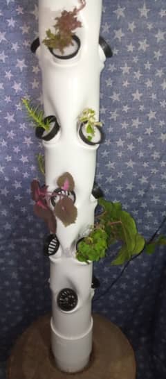 Garden Hydroponic Growing System Vertical Tower - Vegetable Pla