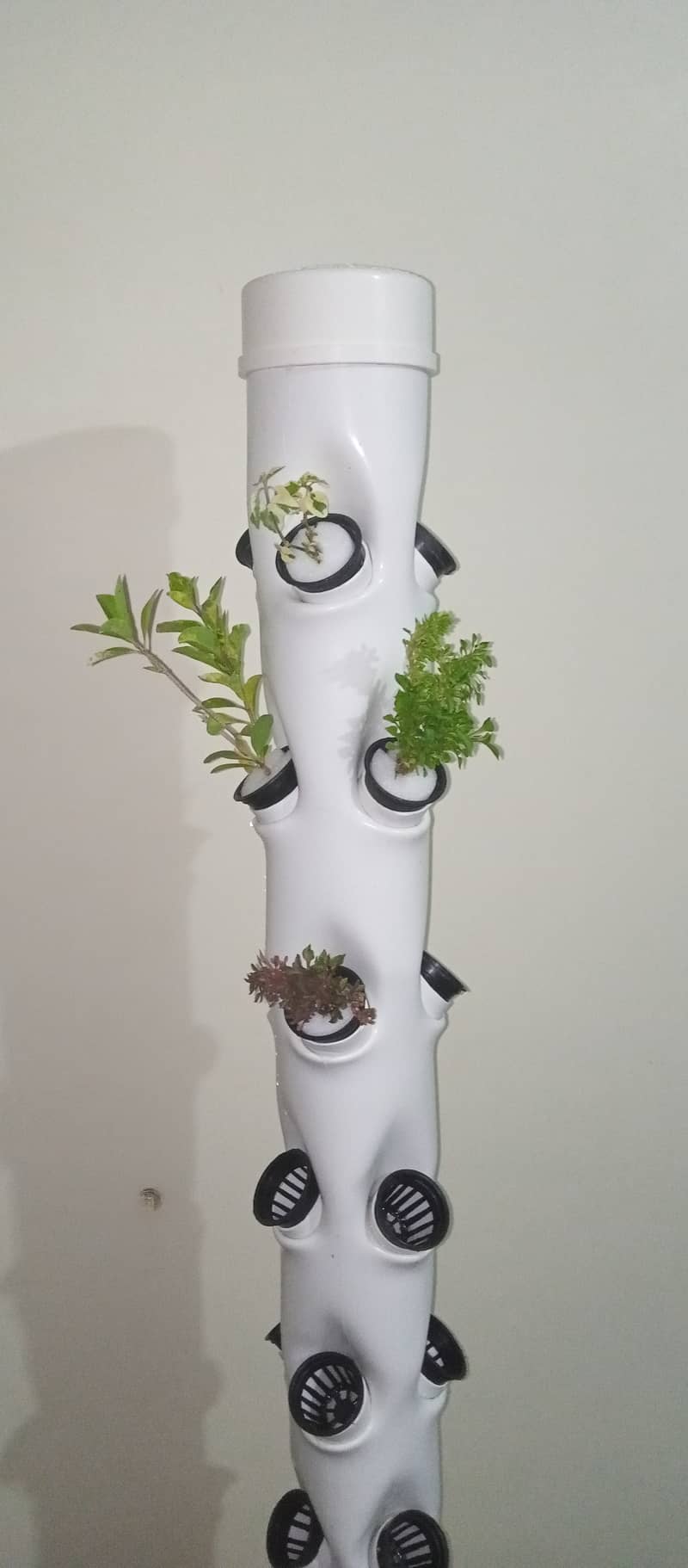 Garden Hydroponic Growing System Vertical Tower - Vegetable Pla 2