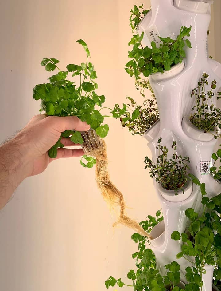 Garden Hydroponic Growing System Vertical Tower - Vegetable Pla 7