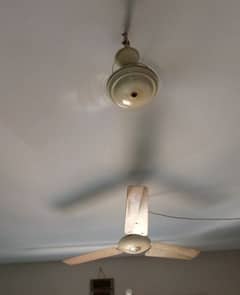 fan for sale