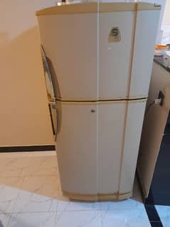 pel fridge in mint condition 0