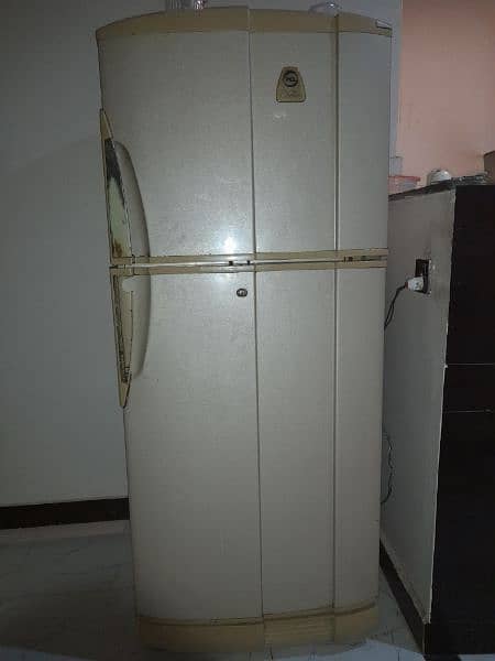 pel fridge in mint condition 1