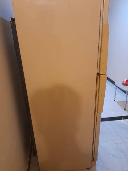 pel fridge in mint condition 2