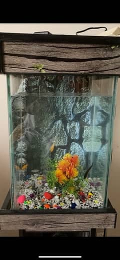 Aquarium/Fish Tank available for sale