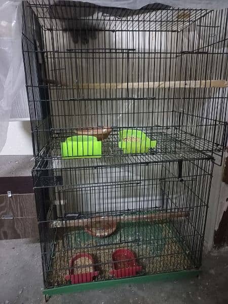 IRON CAGE FOR Sale 4