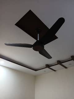 brand new ceiling copper fans with boxes