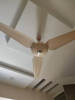 Ceiling fans 0
