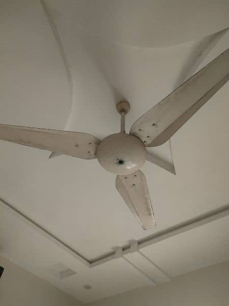 Ceiling fans 1