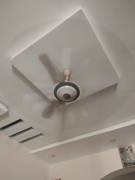 Ceiling fans 3