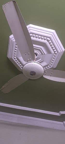 Royal Ceiling fan 0