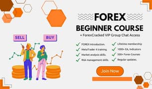 Forex Premium Trading Course For Beginners