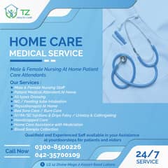 nurse/patient attendant/Home nursing sevices/female nurse/male nurse