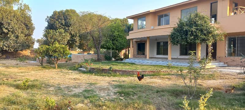 08 kanal Farm House for rent on Central Location 6