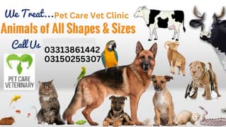 Pet care Veterinary  contact  03313861442  ,03150255307