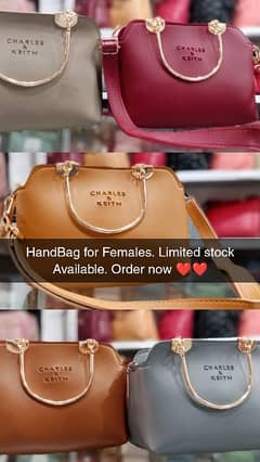 Hand Bags for Females