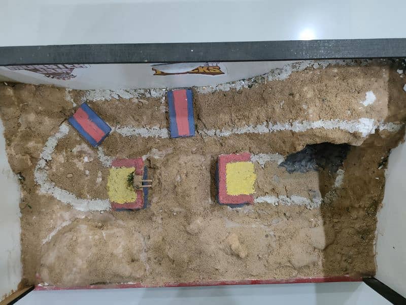 Diorama 5