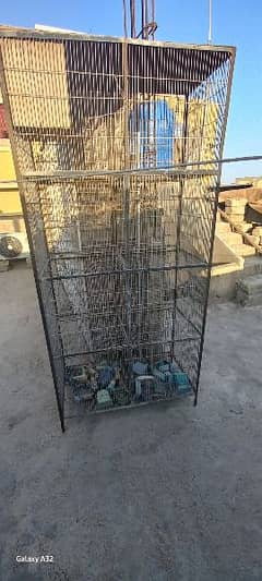 Bird 8 Portion Cage