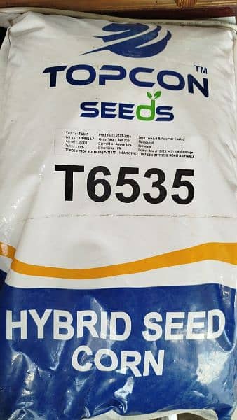 hybrid corn seed 2