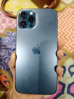 iphone 12 pro max pta proved