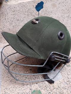 beautiful green cricket helmet