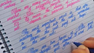 Fantastic Handwriting assignment work
