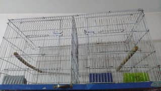 cage birds hens