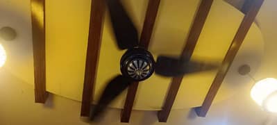 Ceiling Fan Black Color