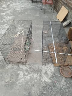 2 cages