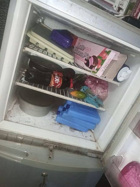 pel fridge 2