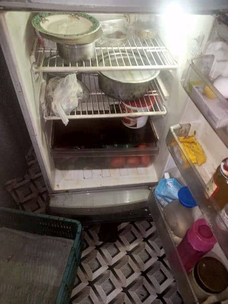 pel fridge 4