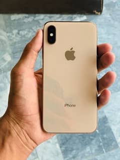 iphone xs gold color