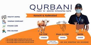 Ijtemai Qurbani Cow share with delivery Karachi & Hyderabad