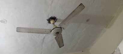 Ceiling fan very good condition phone number 03007289925