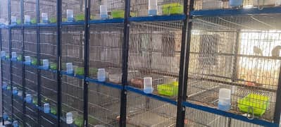 galvanized flying and breeding cages available