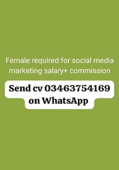 female staff required for social media marketing